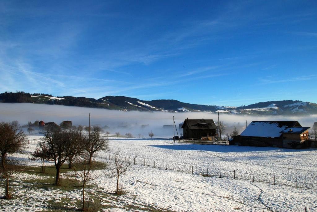 Naturnoech Unterägeri Zimmer foto